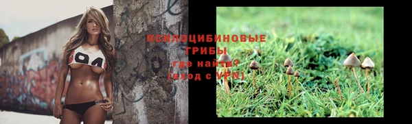 дмт Аркадак