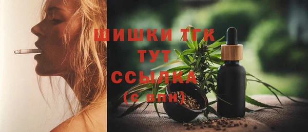 дмт Аркадак
