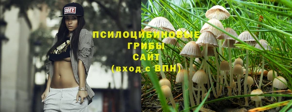 дмт Аркадак