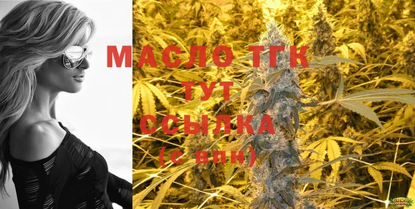 дмт Аркадак