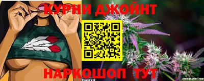 твердый Будённовск