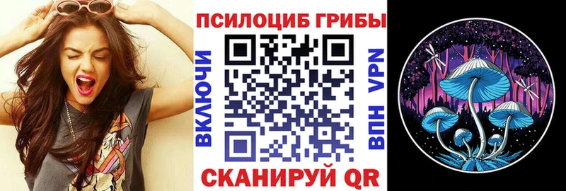 Галлюциногенные грибы ЛСД Гатчина