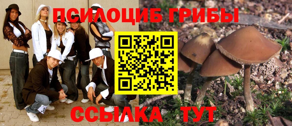 Галлюциногенные грибы Cubensis  Гатчина 