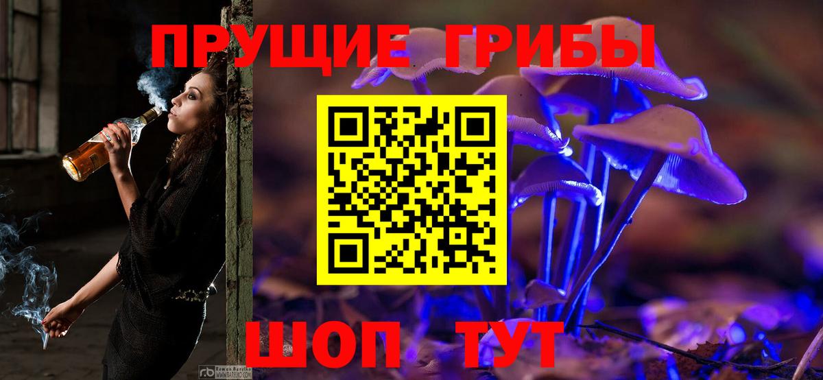 Галлюциногенные грибы мухоморы  Галлюциногенные грибы мухоморы  наркота  Гатчина  Вход с VPN 