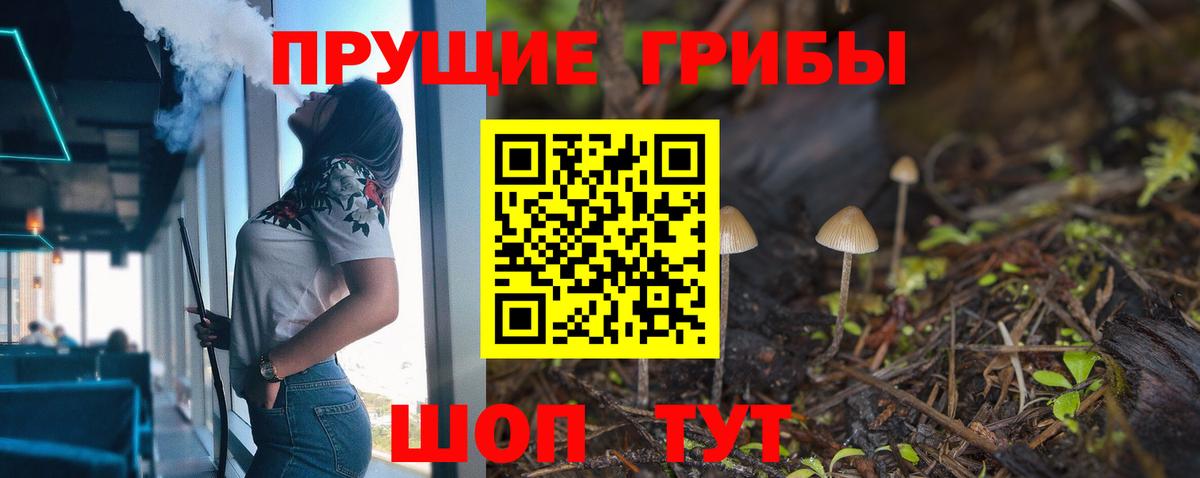 Псилоцибиновые грибы ЛСД Гатчина